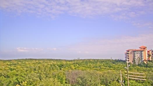 Weather camera view of WTSP-TV.