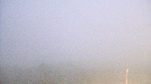 Weather camera view of WTSP-TV.