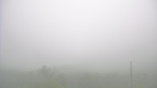 Weather camera view of WTSP-TV.