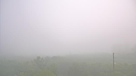 Weather camera view of WTSP-TV.