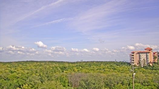 Weather camera view of WTSP-TV.
