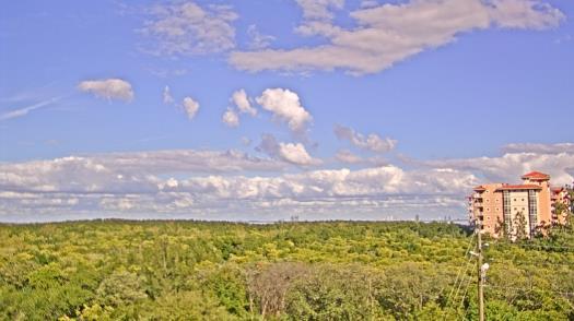 Weather camera view of WTSP-TV.