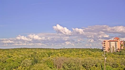 Weather camera view of WTSP-TV.