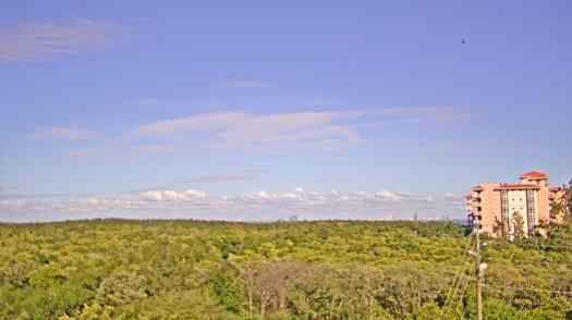 Weather camera view of WTSP-TV.