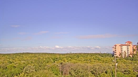 Weather camera view of WTSP-TV.