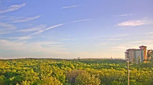 Weather camera view of WTSP-TV.