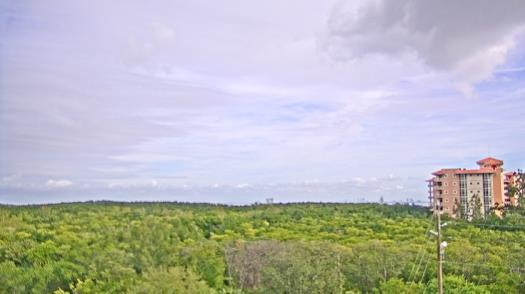 Weather camera view of WTSP-TV.