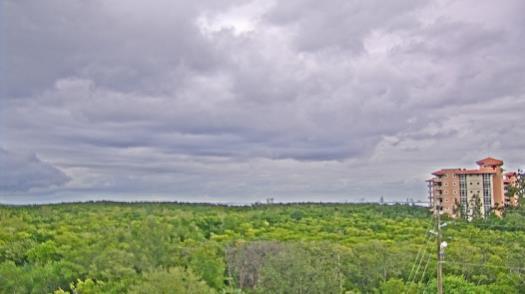 Weather camera view of WTSP-TV.