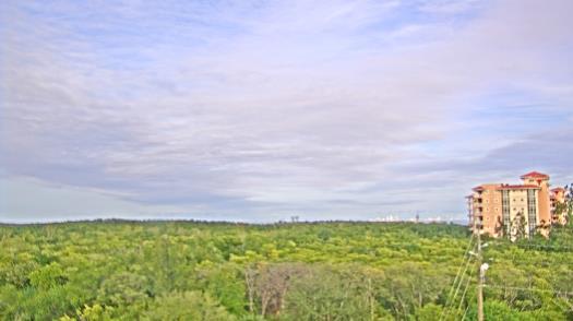 Weather camera view of WTSP-TV.