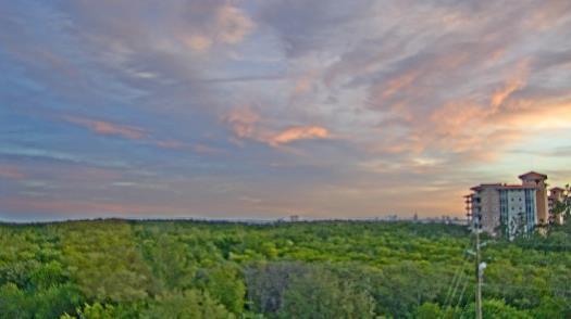 Weather camera view of WTSP-TV.