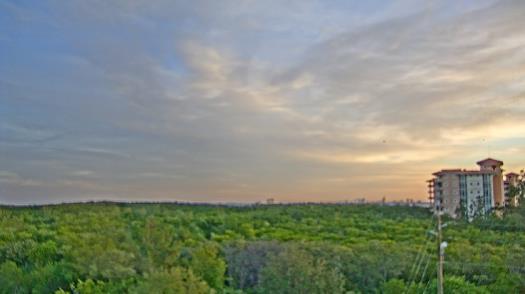 Weather camera view of WTSP-TV.