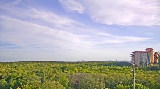 Weather camera view of WTSP-TV.