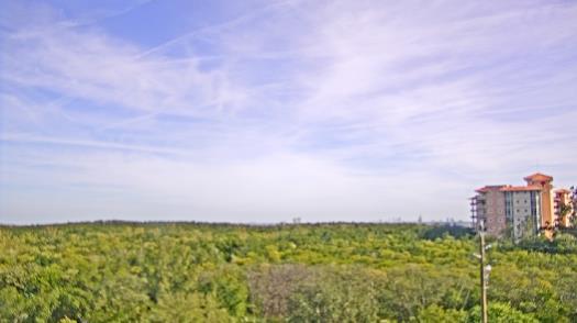 Weather camera view of WTSP-TV.