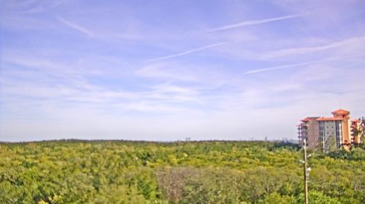 Weather camera view of WTSP-TV.