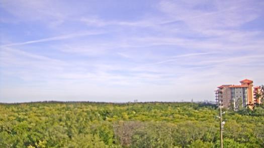 Weather camera view of WTSP-TV.