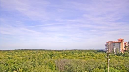 Weather camera view of WTSP-TV.