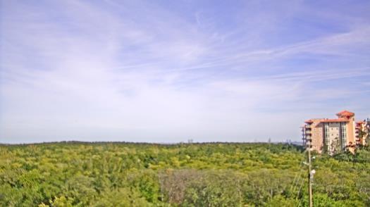 Weather camera view of WTSP-TV.