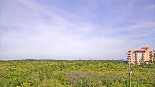 Weather camera view of WTSP-TV.