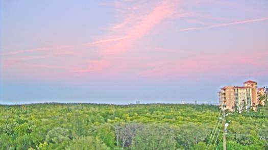 Weather camera view of WTSP-TV.