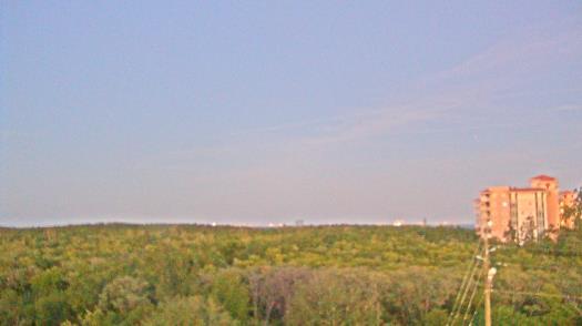 Weather camera view of WTSP-TV.