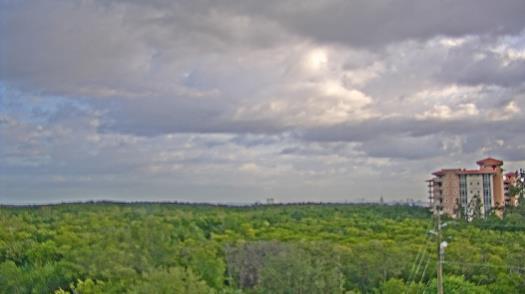 Weather camera view of WTSP-TV.