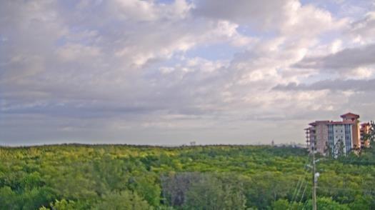 Weather camera view of WTSP-TV.