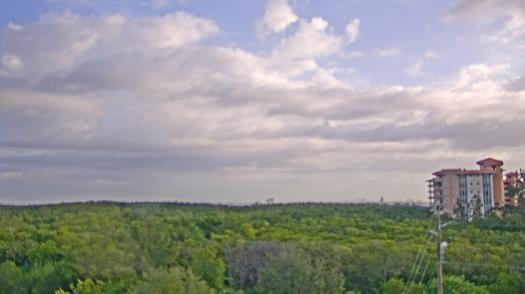 Weather camera view of WTSP-TV.