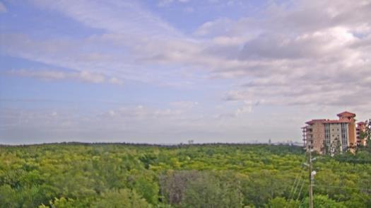 Weather camera view of WTSP-TV.