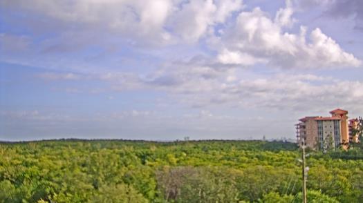 Weather camera view of WTSP-TV.