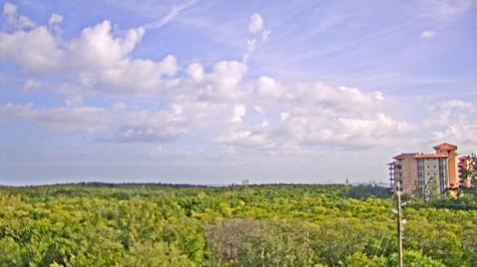 Weather camera view of WTSP-TV.