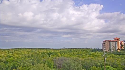 Weather camera view of WTSP-TV.