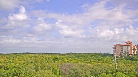 Weather camera view of WTSP-TV.