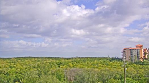 Weather camera view of WTSP-TV.