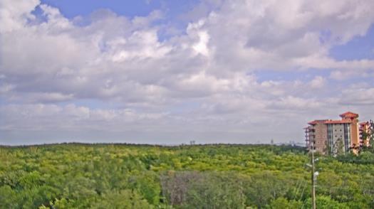 Weather camera view of WTSP-TV.