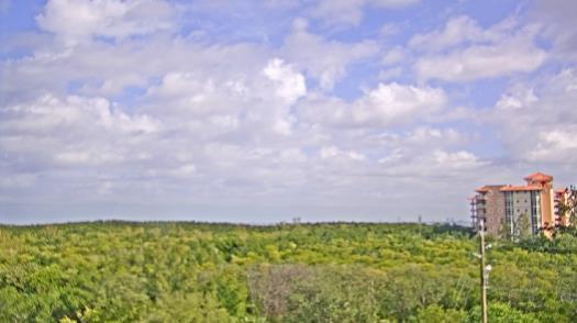 Weather camera view of WTSP-TV.