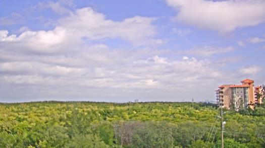 Weather camera view of WTSP-TV.