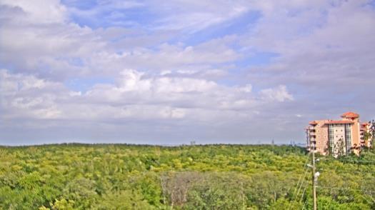 Weather camera view of WTSP-TV.