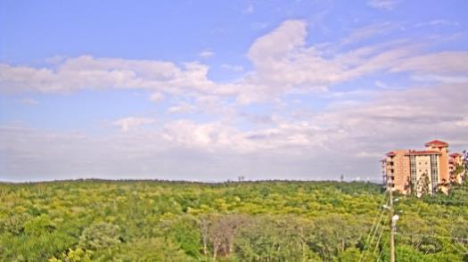 Weather camera view of WTSP-TV.