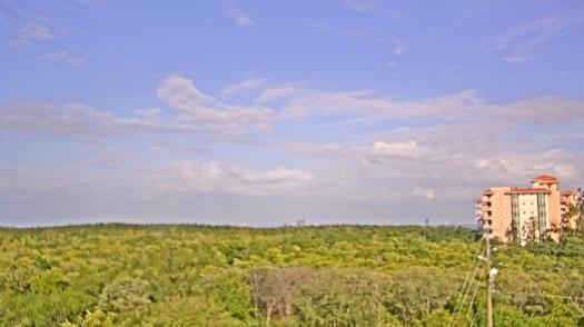 Weather camera view of WTSP-TV.