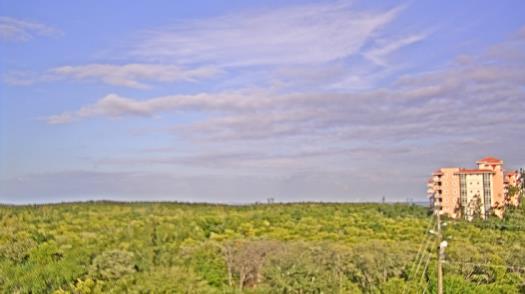 Weather camera view of WTSP-TV.