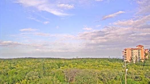 Weather camera view of WTSP-TV.