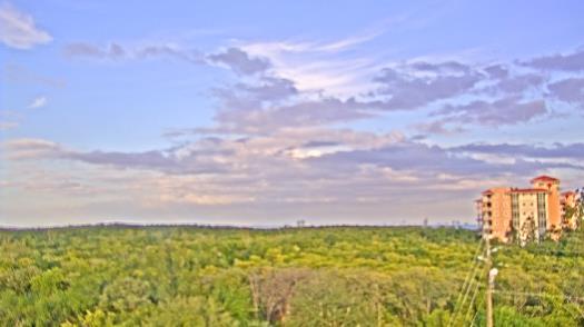 Weather camera view of WTSP-TV.