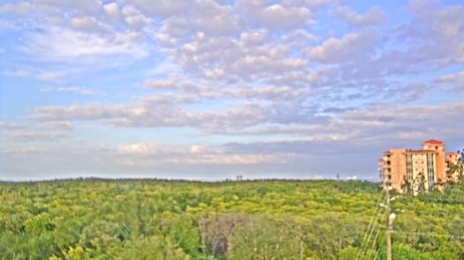 Weather camera view of WTSP-TV.