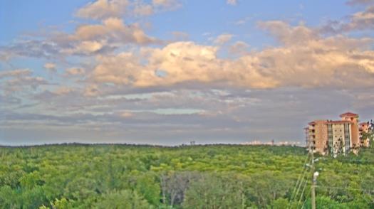 Weather camera view of WTSP-TV.