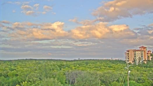 Weather camera view of WTSP-TV.