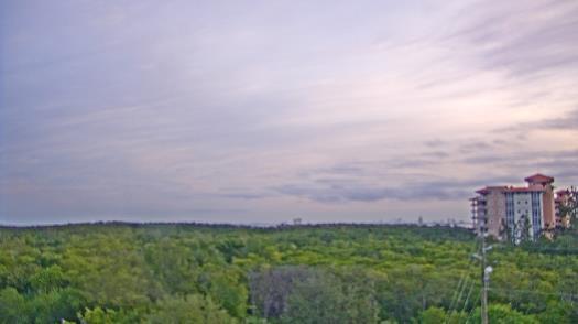 Weather camera view of WTSP-TV.