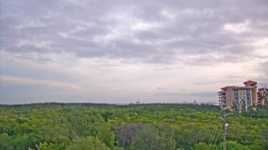 Weather camera view of WTSP-TV.