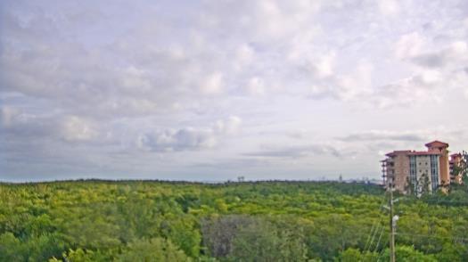 Weather camera view of WTSP-TV.