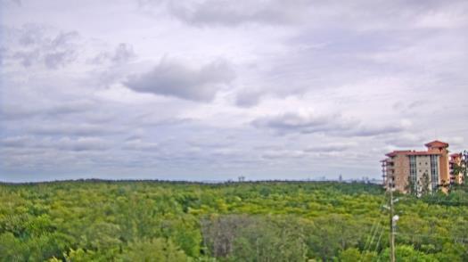 Weather camera view of WTSP-TV.