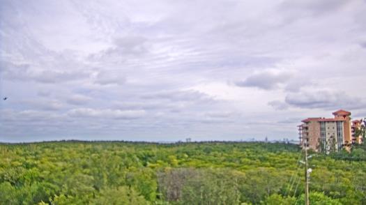 Weather camera view of WTSP-TV.